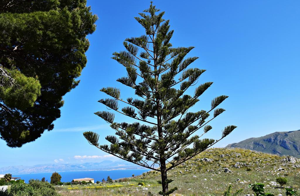 Rustico La Maidda Scopello (Sicily) Exterior photo